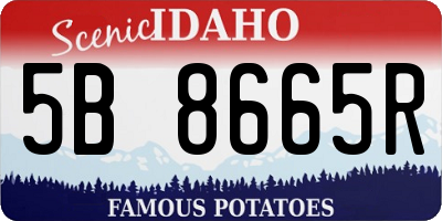 ID license plate 5B8665R