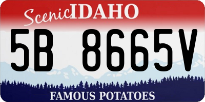 ID license plate 5B8665V