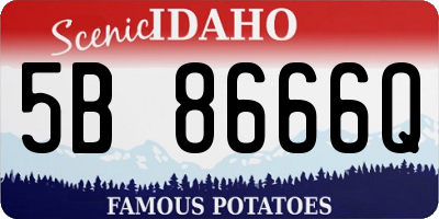 ID license plate 5B8666Q