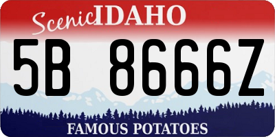ID license plate 5B8666Z