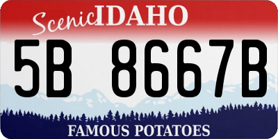 ID license plate 5B8667B