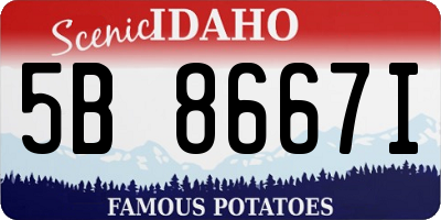 ID license plate 5B8667I