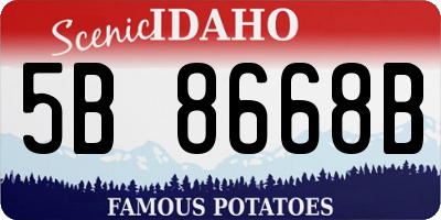 ID license plate 5B8668B