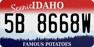 ID license plate 5B8668W