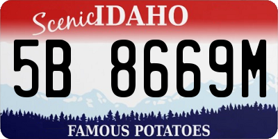 ID license plate 5B8669M