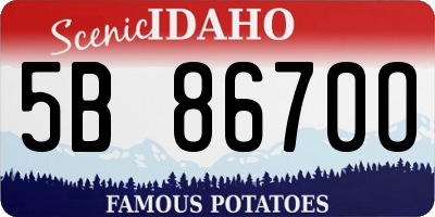 ID license plate 5B8670O