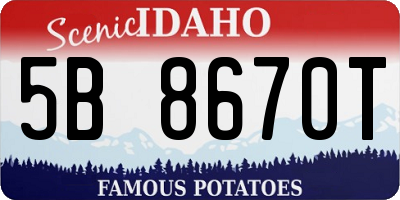 ID license plate 5B8670T