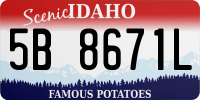 ID license plate 5B8671L