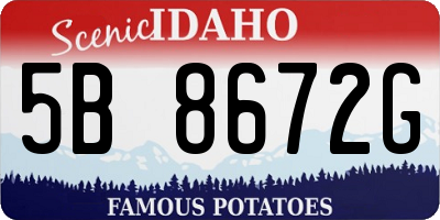 ID license plate 5B8672G