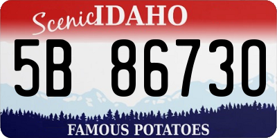 ID license plate 5B8673O