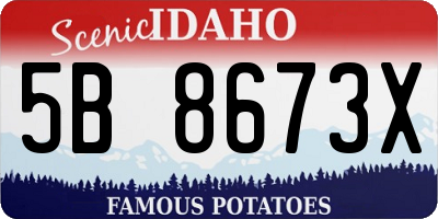 ID license plate 5B8673X