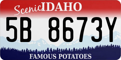 ID license plate 5B8673Y
