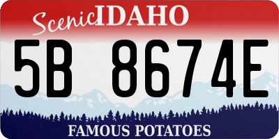 ID license plate 5B8674E