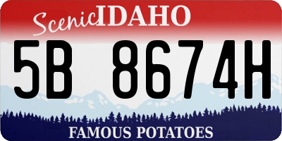 ID license plate 5B8674H