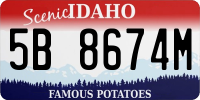 ID license plate 5B8674M