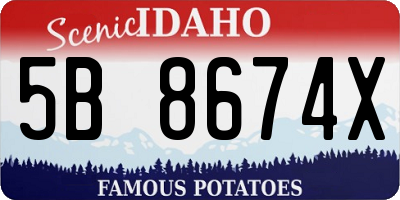 ID license plate 5B8674X