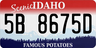 ID license plate 5B8675D