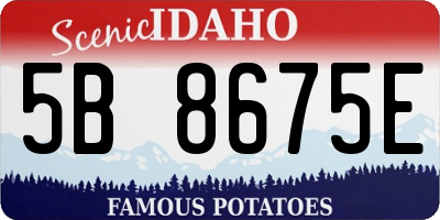 ID license plate 5B8675E