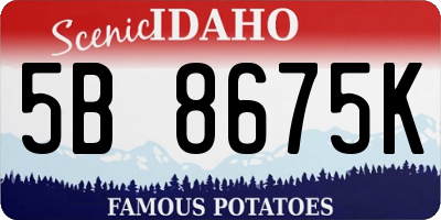 ID license plate 5B8675K