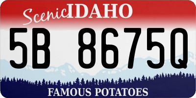 ID license plate 5B8675Q