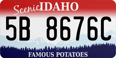 ID license plate 5B8676C