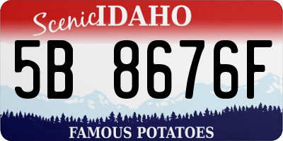 ID license plate 5B8676F