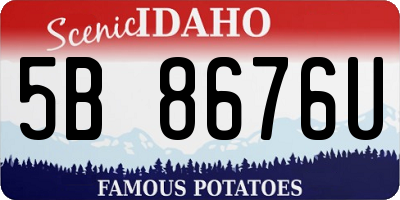 ID license plate 5B8676U