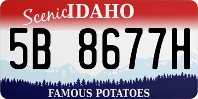 ID license plate 5B8677H