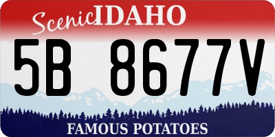 ID license plate 5B8677V