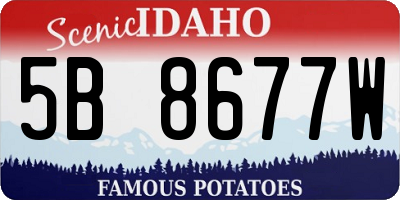 ID license plate 5B8677W