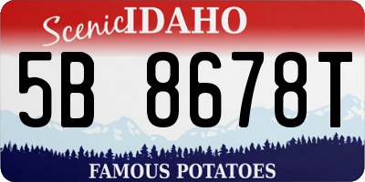 ID license plate 5B8678T