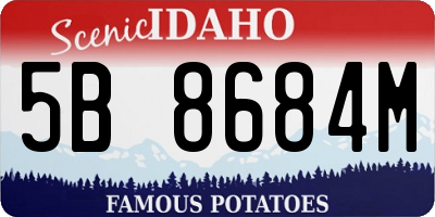 ID license plate 5B8684M