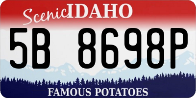 ID license plate 5B8698P