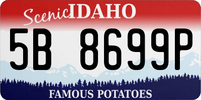 ID license plate 5B8699P