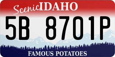 ID license plate 5B8701P
