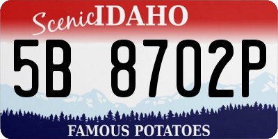 ID license plate 5B8702P