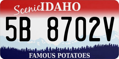 ID license plate 5B8702V