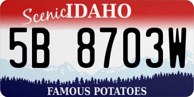 ID license plate 5B8703W