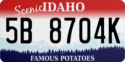 ID license plate 5B8704K