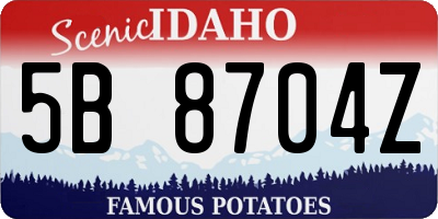 ID license plate 5B8704Z