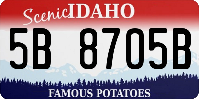 ID license plate 5B8705B