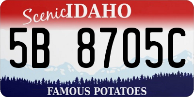 ID license plate 5B8705C