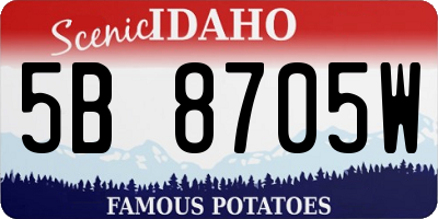 ID license plate 5B8705W