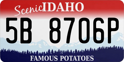 ID license plate 5B8706P