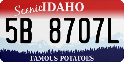 ID license plate 5B8707L