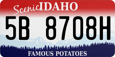 ID license plate 5B8708H