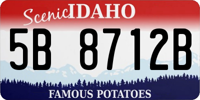 ID license plate 5B8712B