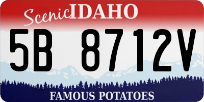 ID license plate 5B8712V