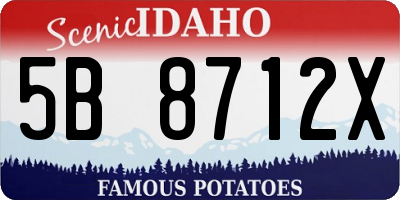 ID license plate 5B8712X