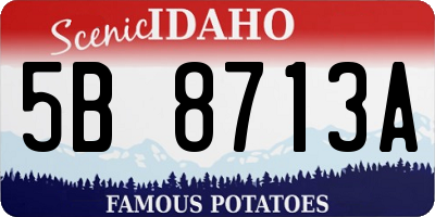 ID license plate 5B8713A